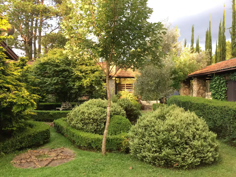 Foto 5