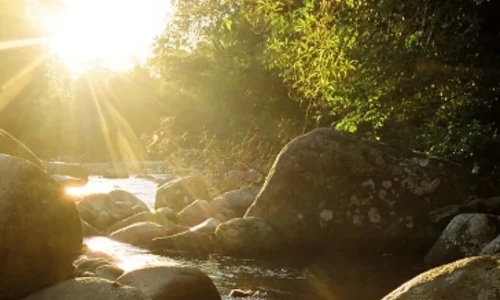 Tempo Off - Selvagens