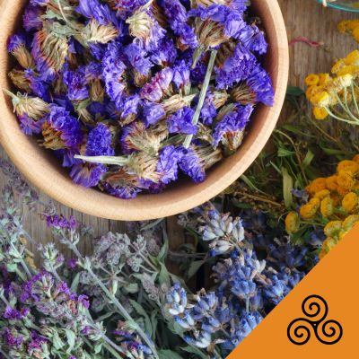 Tempo Off - Ancestrais